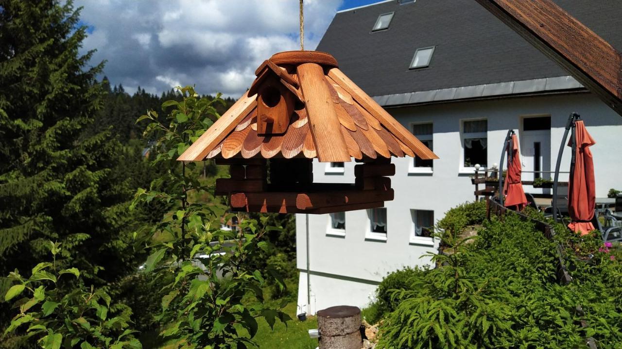 Greizer Kammhuette Gaststaette & Pension Klingenthal Luaran gambar