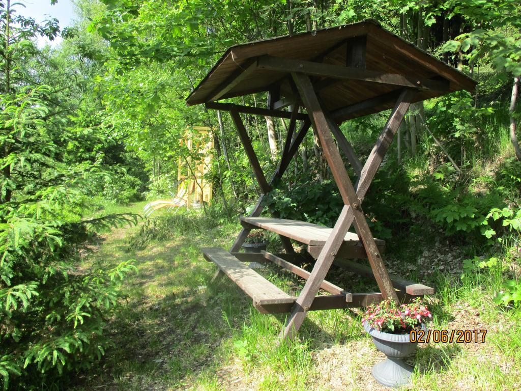 Greizer Kammhuette Gaststaette & Pension Klingenthal Luaran gambar