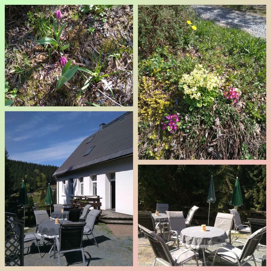 Greizer Kammhuette Gaststaette & Pension Klingenthal Luaran gambar
